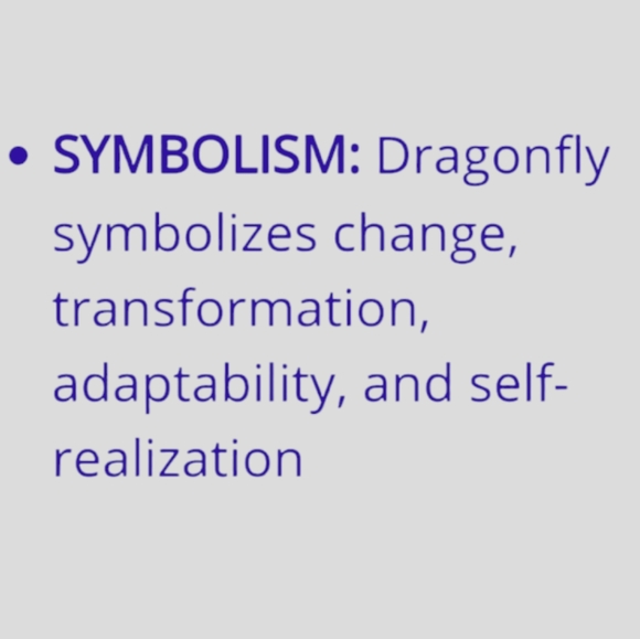 Dragonfly Brooch, gift boxed for Mom. Austrian Crystals & Enamel. - Picture 5 of 6